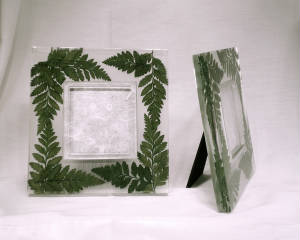 webassets/3x3Fern001.jpg