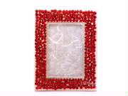 webassets/4x6RedSagaSeedproductcatalog001.jpg