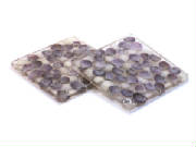 webassets/CoastersPurpleShellproductcatalog001.jpg