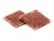 webassets/CoastersRedSagaSeedproductcatalog001.jpg